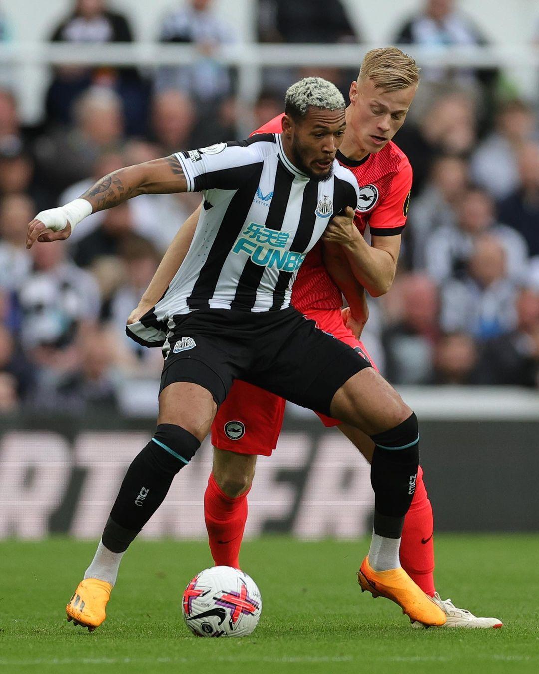 从中汲取的 从中汲取的