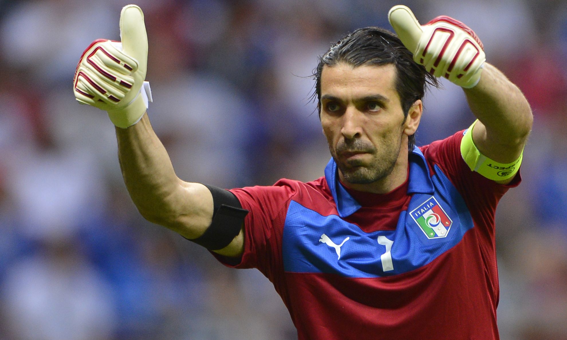 毅与智慧带 毅与智慧带